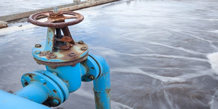 Blue Valve Gate For Oxygen Blowing In Sewage Water